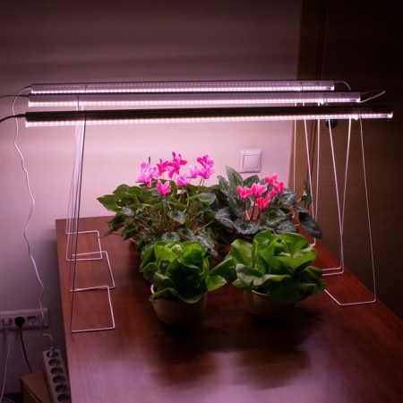 LED phytoswornia, 14 watts, 872 mm, linear, pink spectrum-2