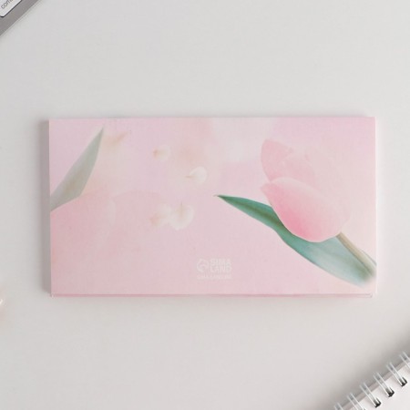 Gift set "since March 8": Planning and pen Plastic-5