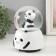 Souvenir Polystone Water Ball Music "Panda" spins 15x10x10 cm