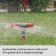 3-fly spray, 28 cm, fitting for hoses 1/2, 5/8 ", 3/4", peak, plastic, Greengo