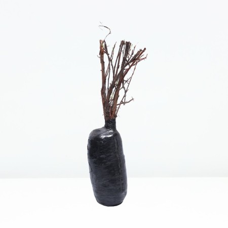 Lapceta shrub "Goldfinger", tube, 1 pc, spring 2025-2