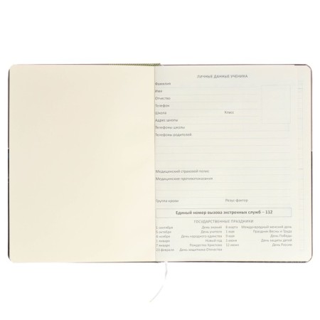 Universal Diary of the 1-11 class of Neon, solid cover, artificial leather, colored cut, silk-screen printing, lies, block 80 g/m2-3
