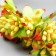 Flowers for decorating "Jasminovid oxen" 1 bouquet = 10 colors yellow 9.5 cm