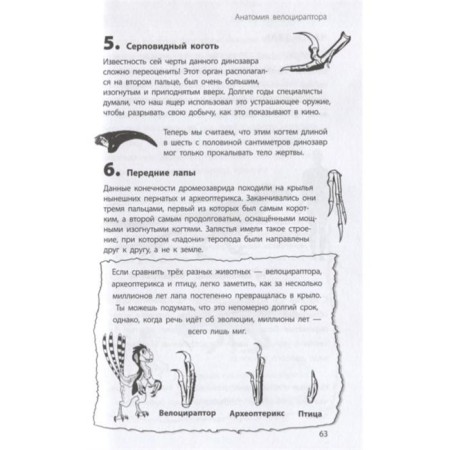 «Велоцираптор», Бен Гэррод-6