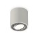 Turning lamp Ambrella Light, XS7533003, MR16 GU5.3 LED 10 W, color gray sand, silver