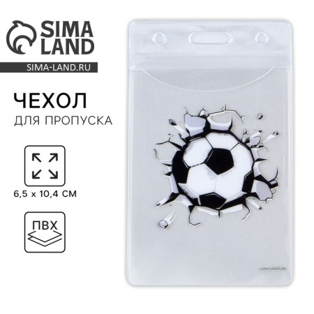 Case for passing "Ball", 6.1 x 10.4 cm