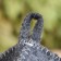 Hat -hat with embroidery "hot little thing", gray