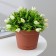 Pot for flowers with a pallet min, 1.2 l, d = 15 cm, h = 11.3 cm, terracotta color