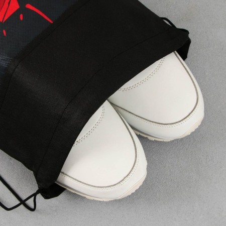 Dinosaur shoe bag non -discharge canvas, size 30 x 40 cm-3