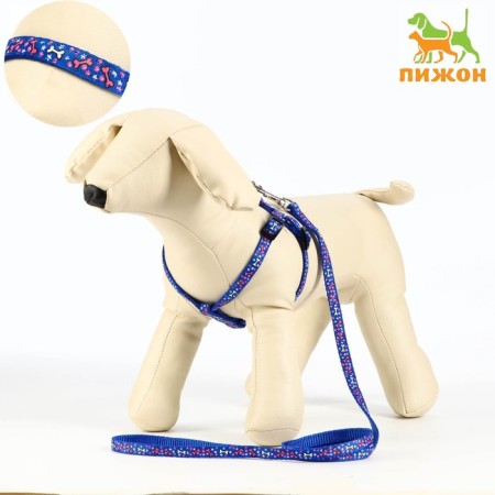 Set "Star Bones", leash 120 x 1 cm, og 23-35 cm, blue