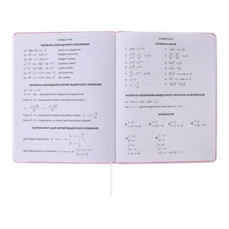 Universal diary for grade 1-11 Bear King, solid cover, artificial leather, foam rubber, silkography, liesse, 80 g/m2-7