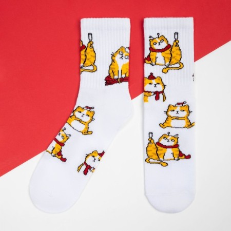 Women's socks KAFTAN "Red cat" p. 36-40 (23-25 ​​cm)