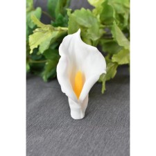 Silicone form 
