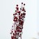 Dry flowers “Molchy Mile”, 25 g, length - 70 cm, red color