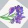 Tattoo on the body color "Lilac flower" 6x6 cm