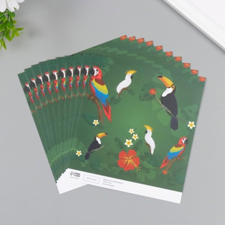 Scrapbooking paper "Exotic birds" density 180 grams set 10 pcs 15.5x17 cm-1