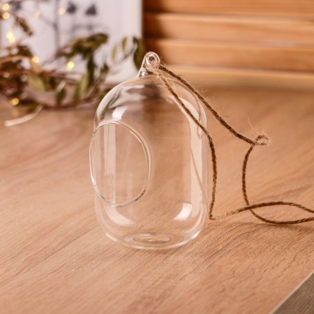 Florarium "cylinder" with a rope, D-5x6 cm 8x12 cm-1