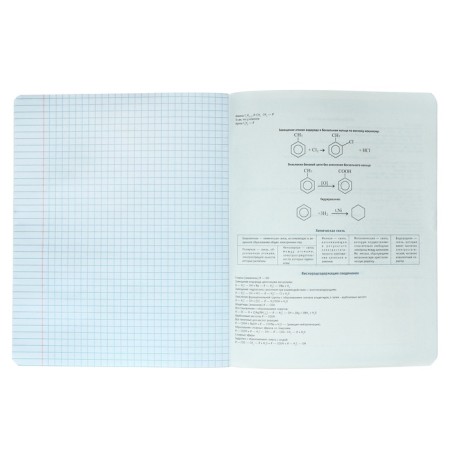 Notebook subject “phrases with character”, 48 sheets in the “chemistry” cage, covered cardboard, selective twin-lak, UV-lak, offset block-4