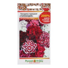 Flowers of the cloves of Turkish 