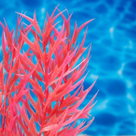 The artificial aquarium, luminous, 20 cm, red plant-2