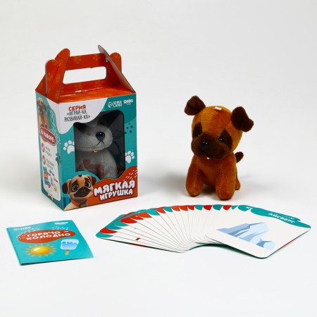 Training cards with a soft toy "Dog", color mix-2