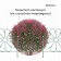 Decorative fence, 75 × 305 cm, 5 sections, metal, green, "chamomile"