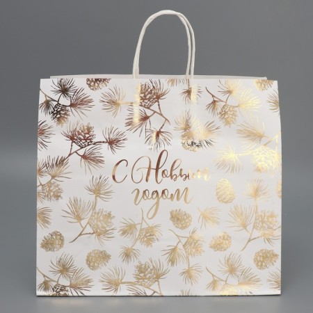 Package Gift Craft Gold, 32 x 28 x 15 cm, New Year-3