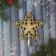 Tips "Zvezda" monogram shine luxury, 15x16 cm, gold