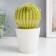 Souvenir Ceramics "Cactus blooming in a pot" Green 11x12x21 cm