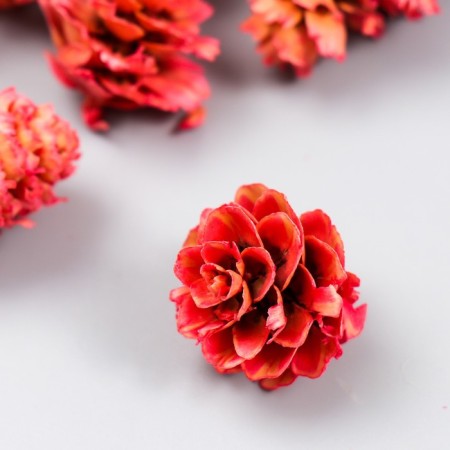 Decor for creativity "pine pink" size 2-4 cm-2