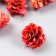 Decor for creativity "pine pink" size 2-4 cm