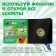 A book with a flashlight “One Summer”, 22 pp., 5 game turning, mi-mi-Mimka