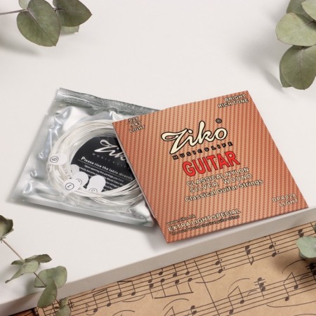 Strings for the classic guitar of Ziko DPA-028, 28-43