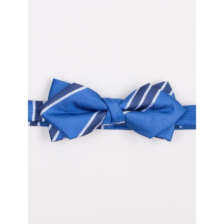 Tie-butter for boys ise, blue color-1