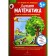 Summer mathematics. Game tasks for preschoolers. From 5 years. Peterson L.G., Kochamasova E. E.
