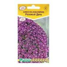 Alissum flowers 