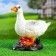 Garden figure "Duck on stone" 24x20cm