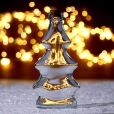 The basis for creativity and decoration is a bottle with a lid 