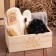 Set of Gift Ethel "Healthy Spirit", towel and accessories
