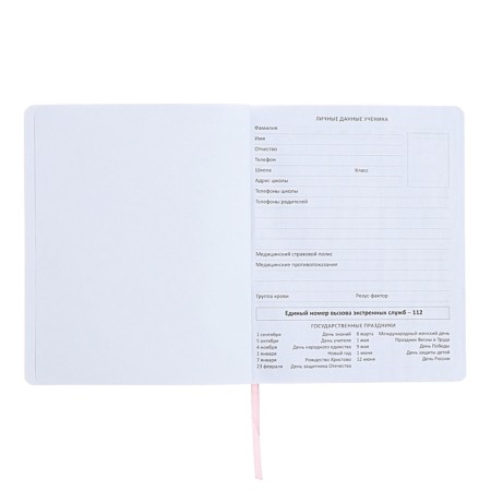 Universal diary for grade 1-11 "Put me for charging", integral cover, artificial leather, silkography, liesa, 80 g/m2-3
