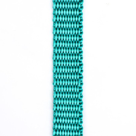 Kapron leash, 1.6 m x 1 cm, green-3