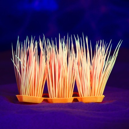 The artificial aquarium, luminous plant, 9 cm, red-4