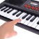 The Supermousant synthesizer with a microphone, 44 keys, operates from the network and from batteries