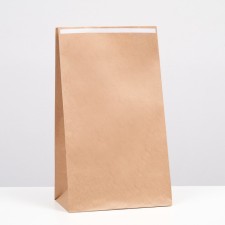 Craft package Pack Pack, rectangular bottom, with an adhesive tape of 24 x 14 x 40 cm