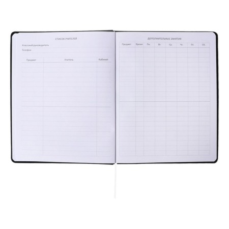 Universal diary for grade 1-11, solid cover, artificial leather, foil embossing, liesse, 80 g/m2-7