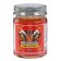 Bintorong Tiger Red Balm balm, warming up, from bruises and sprains, 50 g