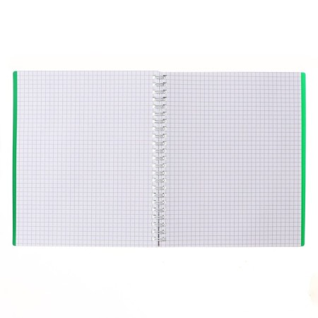 A notebook of 80 sheets in a cage on a crest, Velvet, plastic cover, offset block, green-1