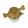 The water meter "Eco Nom" SV-15-110, universal, 1/2 ", with a check valve, with a set of connection