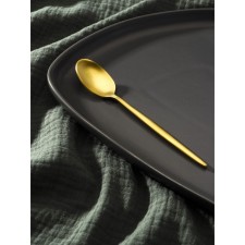 A spoon of a teaspoon of stainless steel Magistro 
