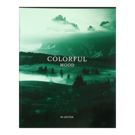 Notebook of 48 sheets in the Calligrata Emerald Cage, covered cardboard, block No. 2, whiteness 75% (gray sheets), mix-4